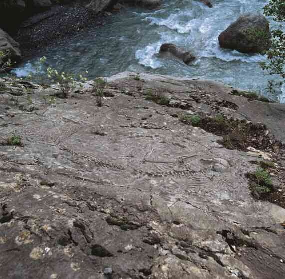 Иллюстрация к книге — Фотография как современное искусство [i_202.jpg]