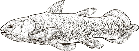 Иллюстрация к книге — Последний выдох [i_002.jpg]