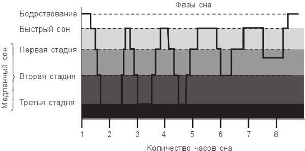 Иллюстрация к книге — Циркадный код. Как настроить свои биологические часы на здоровую жизнь [i_011.jpg]