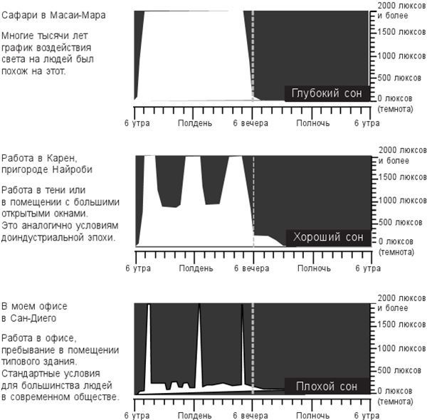 Иллюстрация к книге — Циркадный код. Как настроить свои биологические часы на здоровую жизнь [i_012.jpg]