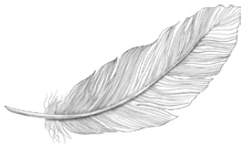 Иллюстрация к книге — Всё самое лучшее просто. Повседневные идеи для более спокойной и размеренной жизни [i_003.jpg]