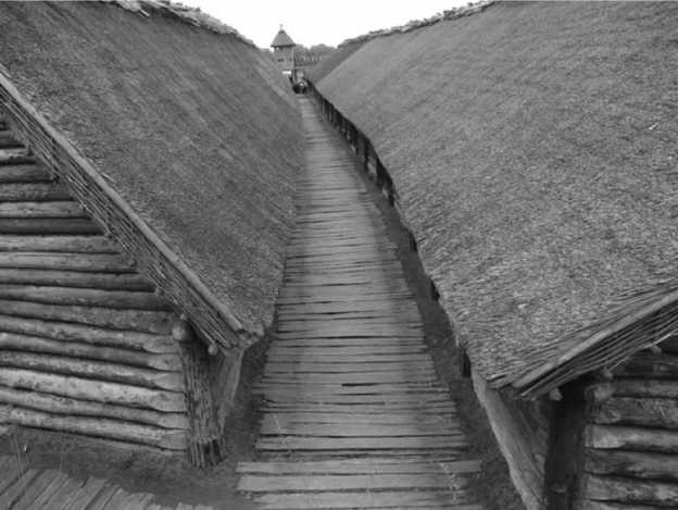 Иллюстрация к книге — История происхождения русов и славян [i_016.jpg]