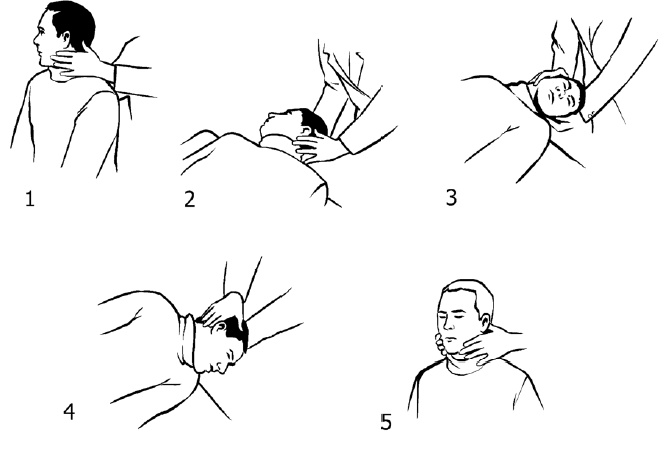Иллюстрация к книге — Головокружение [i_017.jpg]