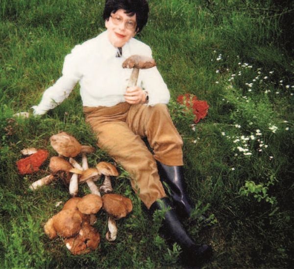 Иллюстрация к книге — Сто чудес [i_023.jpg]