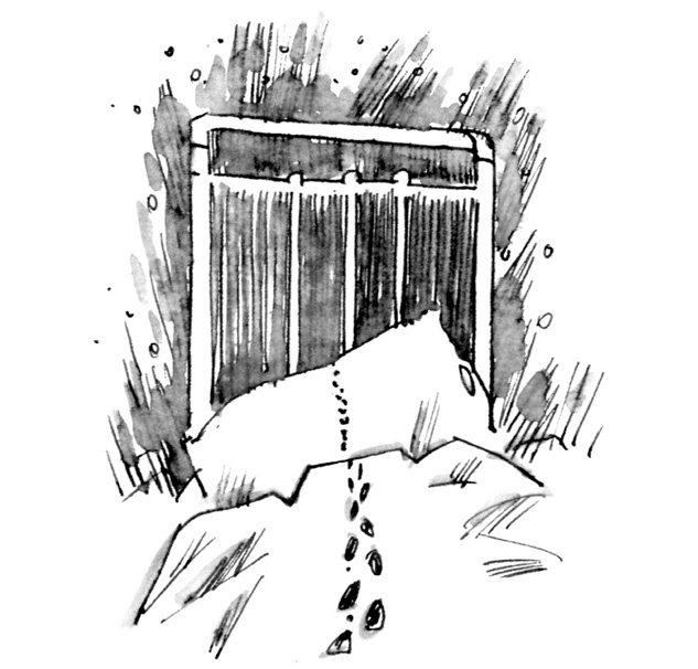 Иллюстрация к книге — Ангелы и пионеры [i_049.jpg]