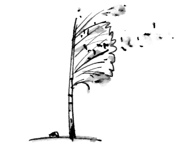 Иллюстрация к книге — Ангелы и пионеры [i_108.jpg]