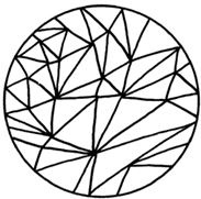 Иллюстрация к книге — ЭКОsapiens. Простые правила осознанной жизни [i_004.jpg]