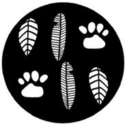 Иллюстрация к книге — ЭКОsapiens. Простые правила осознанной жизни [i_006.jpg]