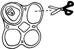 Иллюстрация к книге — ЭКОsapiens. Простые правила осознанной жизни [i_015.jpg]