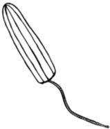 Иллюстрация к книге — ЭКОsapiens. Простые правила осознанной жизни [i_032.jpg]