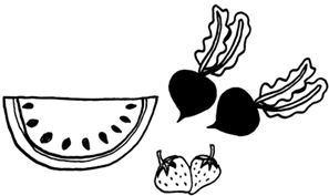 Иллюстрация к книге — ЭКОsapiens. Простые правила осознанной жизни [i_035.jpg]