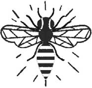 Иллюстрация к книге — Тайная библиотека [i_012.jpg]