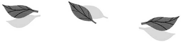 Иллюстрация к книге — Тайная библиотека [i_022.jpg]