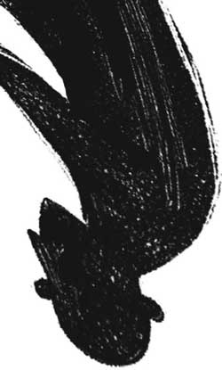 Иллюстрация к книге — Тайная библиотека [i_029.jpg]