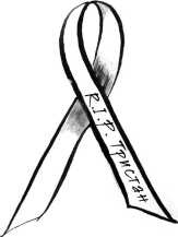 Иллюстрация к книге — Последнее «долго и счастливо» [i_020.jpg]