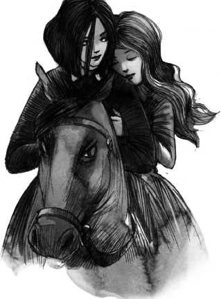 Иллюстрация к книге — Последнее «долго и счастливо» [i_038.jpg]