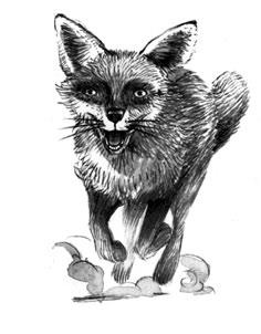 Иллюстрация к книге — Принцесса или ведьма [i_016.jpg]