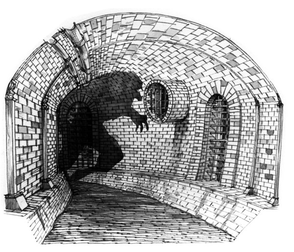 Иллюстрация к книге — Принцесса или ведьма [i_023.jpg]