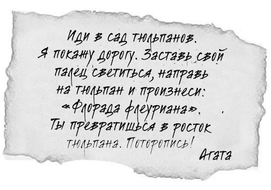 Иллюстрация к книге — Принцесса или ведьма [i_037.jpg]