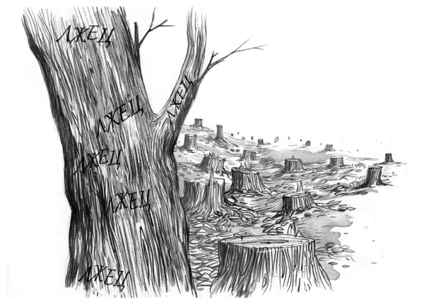 Иллюстрация к книге — Принцесса или ведьма [i_038.jpg]