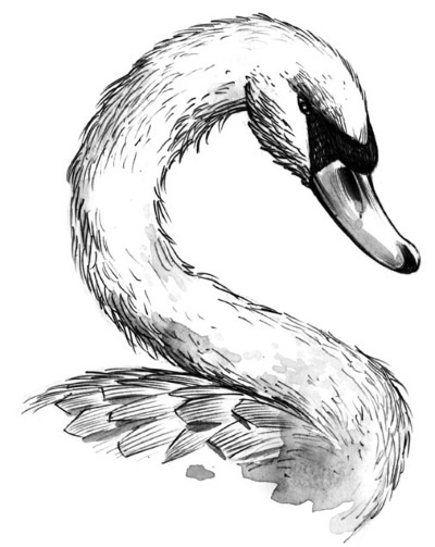 Иллюстрация к книге — Принцесса или ведьма [i_050.jpg]