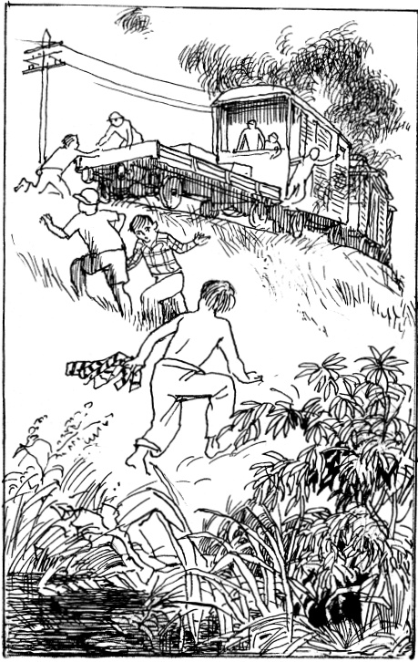 Иллюстрация к книге — Там, за чертой блокады [i_008.jpg]