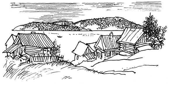 Иллюстрация к книге — Там, за чертой блокады [i_009.jpg]