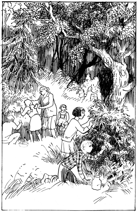 Иллюстрация к книге — Там, за чертой блокады [i_013.jpg]