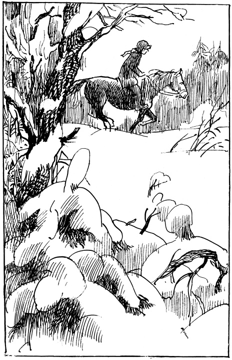 Иллюстрация к книге — Там, за чертой блокады [i_021.jpg]