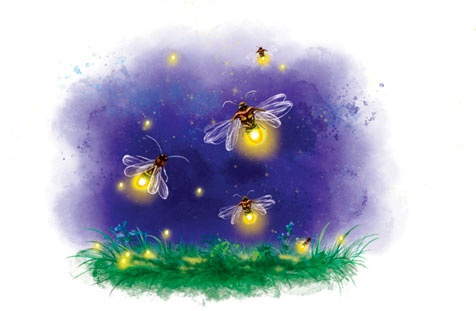 Иллюстрация к книге — Хозяин Черного озера [i_020.jpg]