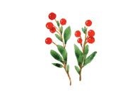 Иллюстрация к книге — Страна Чудес [i_014.jpg]