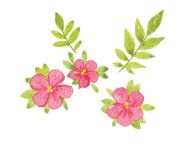 Иллюстрация к книге — Страна Чудес [i_021.jpg]