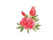 Иллюстрация к книге — Страна Чудес [i_034.jpg]