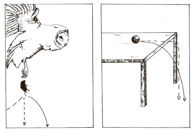 Иллюстрация к книге — Сбитые с толку [i_019.jpg]