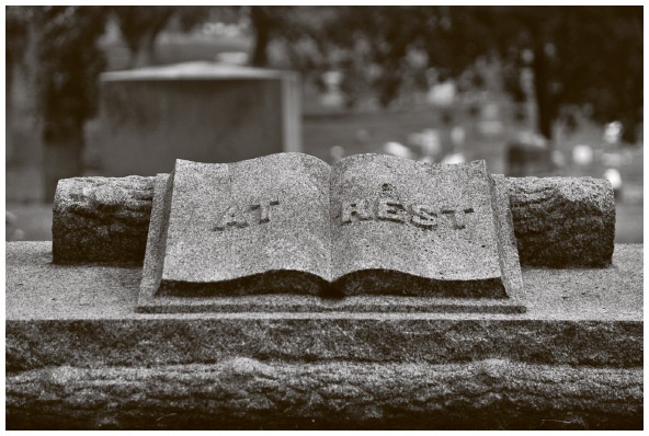 Иллюстрация к книге — Сбитые с толку [i_033.jpg]