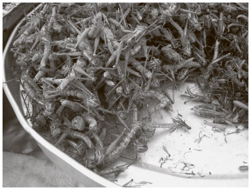 Иллюстрация к книге — Сбитые с толку [i_045.jpg]