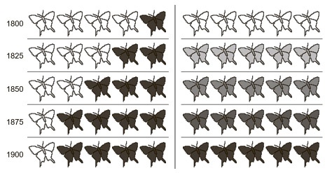 Иллюстрация к книге — Сбитые с толку [i_049.jpg]