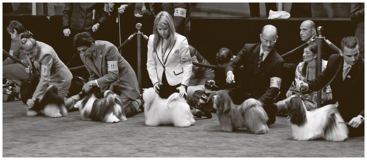 Иллюстрация к книге — Сбитые с толку [i_050.jpg]