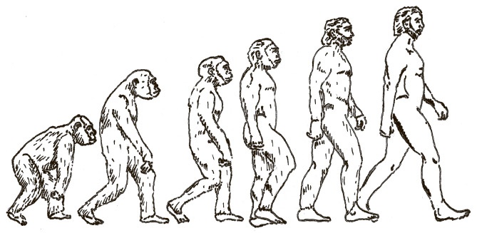 Иллюстрация к книге — Сбитые с толку [i_053.jpg]