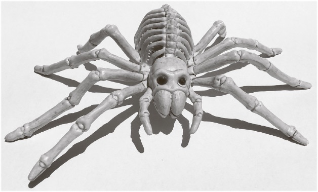 Иллюстрация к книге — Сбитые с толку [i_056.jpg]