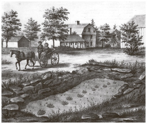 Иллюстрация к книге — Сбитые с толку [i_060.jpg]