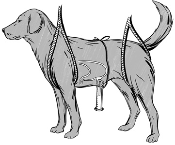 Иллюстрация к книге — 30 Нобелевских премий: Открытия, изменившие медицину [i_003.jpg]