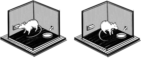 Иллюстрация к книге — 30 Нобелевских премий: Открытия, изменившие медицину [i_005.jpg]