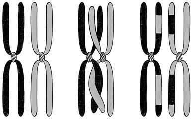 Иллюстрация к книге — 30 Нобелевских премий: Открытия, изменившие медицину [i_012.jpg]