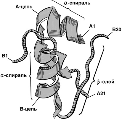 Иллюстрация к книге — 30 Нобелевских премий: Открытия, изменившие медицину [i_022.jpg]