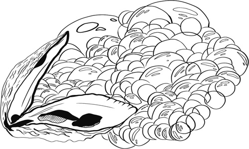 Иллюстрация к книге — Торт: Кулинарный детектив [i_009.jpg]