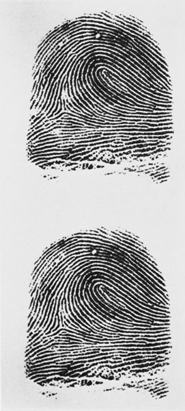 Иллюстрация к книге — Век криминалистики [i_022.jpg]