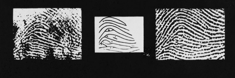 Иллюстрация к книге — Век криминалистики [i_023.jpg]