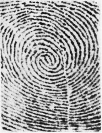 Иллюстрация к книге — Век криминалистики [i_028.jpg]