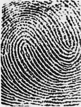 Иллюстрация к книге — Век криминалистики [i_029.jpg]